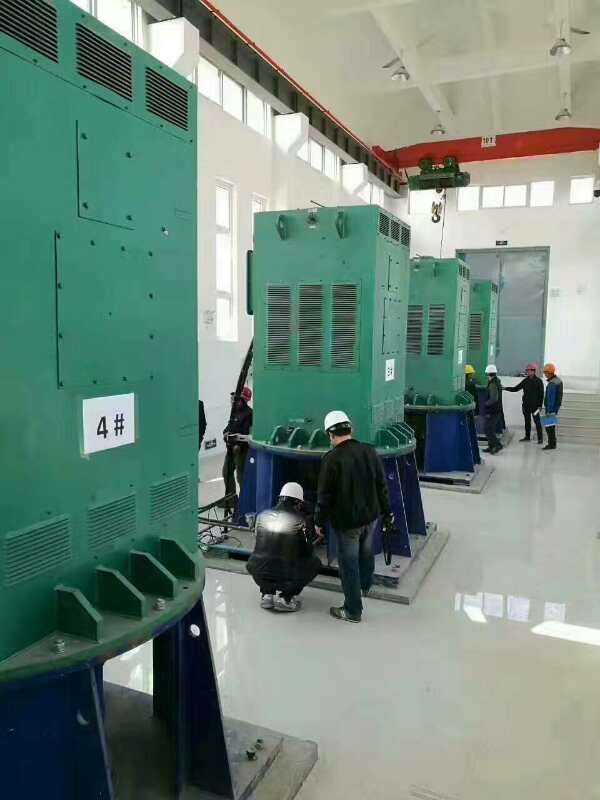 甘南某污水处理厂使用我厂的立式高压电机安装现场